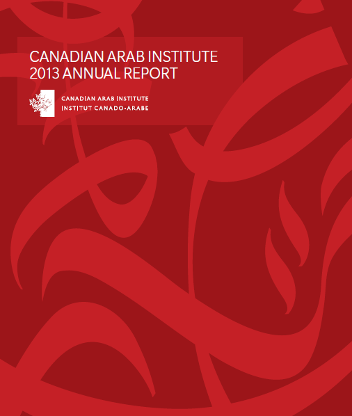 CAI 2013 Annual Report